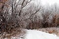 Russian provincial natural landscape in gloomy weather. Toned