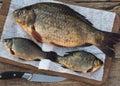 Russian river fish on a wooden background.Big and small crucian carp ready for cutting Royalty Free Stock Photo