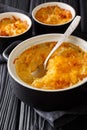 Russian Romanoff casserole made from potatoes, sour cream and cheddar cheese close-up in a pan. vertical