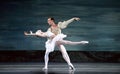 Russian royal ballet perfome swan ballet