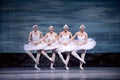 Russian royal ballet perfome Swan Lake Royalty Free Stock Photo