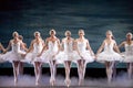 Russian royal ballet perfome Swan Lake