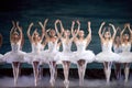 Russian royal ballet perfome Swan Lake Lake Royalty Free Stock Photo