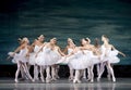 Russian royal ballet perfome Swan Lake Lake Royalty Free Stock Photo
