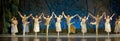 Russian royal ballet perform Swan Lake