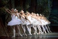 Russian royal ballet perform Swan Lake ballet