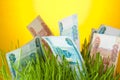 Russian ruble bills among green grass