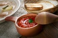 Russian sauce adjika Royalty Free Stock Photo