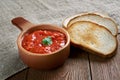 Russian sauce adjika Royalty Free Stock Photo