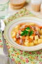 Russian Sauerkraut Soup, Shchi (Stchi) Royalty Free Stock Photo