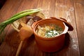 Russian sauerkraut soup stchi Royalty Free Stock Photo