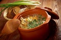 Russian sauerkraut soup stchi Royalty Free Stock Photo