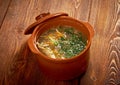 Russian sauerkraut soup stchi Royalty Free Stock Photo