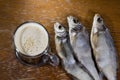 Russian snack . Beer and dried fish.