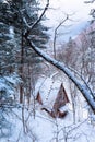 Russian snow trees