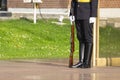 Russian soldier on guard in the Moscow Kremlin. Honor guard near the tomb of the unknown soldier. The dress uniform of the Russian Royalty Free Stock Photo