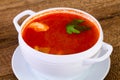 Russian Solyanka soup Royalty Free Stock Photo
