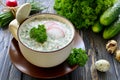 Russian spring and summer cold soup with kefir