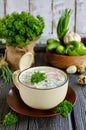 Russian spring and summer cold soup with kefir Royalty Free Stock Photo