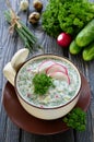 Russian spring and summer cold soup with kefir Royalty Free Stock Photo