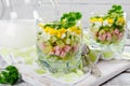 Russian spring and summer cold soup with kefir Royalty Free Stock Photo