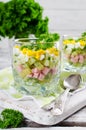 Russian spring and summer cold soup with kefir Royalty Free Stock Photo