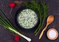 Russian summer cold soup okroshka from greens, vegetables, kvass and kefir on a black wooden table, top view Royalty Free Stock Photo