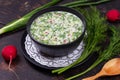 Russian summer cold soup okroshka from greens, vegetables, kvass and kefir Royalty Free Stock Photo