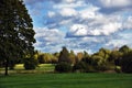 Russian summer landscape, huge tree in the forest