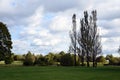 Russian summer landscape. View of green trees and loan. Royalty Free Stock Photo