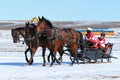 The Russian three of bay horses in sledge