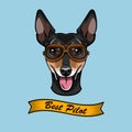 Russian Toy Terrier Pilot. Aviators glasses. Best pilot text. Vector.