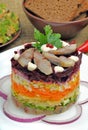 Russian traditional herring salad Royalty Free Stock Photo