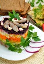 Russian traditional herring salad Royalty Free Stock Photo
