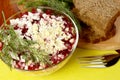 Russian traditional herring salad Royalty Free Stock Photo