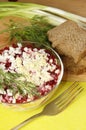 Russian traditional herring salad Royalty Free Stock Photo