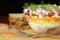 Russian traditional herring salad Royalty Free Stock Photo