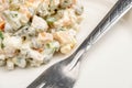 Russian traditional Olivier salad with vegetables and meat. Winter salad for New Year and Christmas. close-up, selective focus Royalty Free Stock Photo