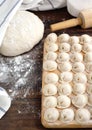 Russian traditional pelmeni with meat.