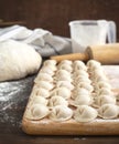 Russian traditional pelmeni with meat.