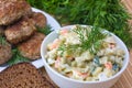 Russian traditional salad olivier Royalty Free Stock Photo