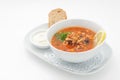 Russian traditional soup with mixed meat