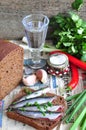 Russian traditions open sandwich with a sardines on rye bread with the wineglass of vodka Royalty Free Stock Photo