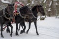 The Russian Troika of horses goes on the snow road in winter day Royalty Free Stock Photo