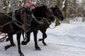 The Russian Troika of horses goes on the snow road in winter day