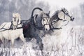 Russian troika horses running on a snowy field Royalty Free Stock Photo