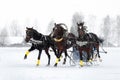 Russian troika of horses