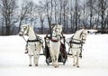 The Russian troika - three of horses in sledge Royalty Free Stock Photo