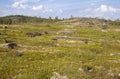 Russian tundra in summer Royalty Free Stock Photo