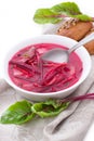 Russian-ukraine cuisine - borsch